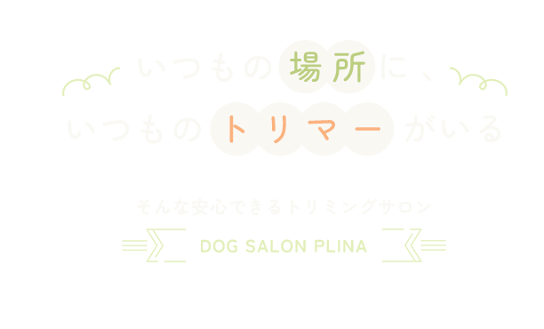 いつもの場所にいつものトリマーがいる　|　そんな安心できるトリミングサロン　DOG SALON PLINA